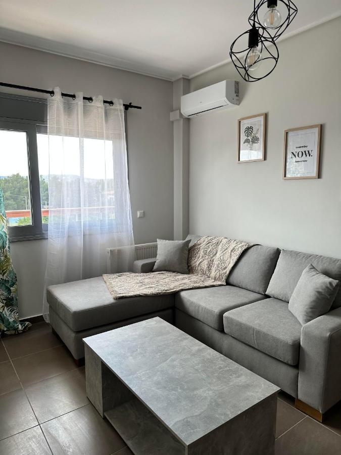 Eva'S Luxury Apartments No 3 Agios Spyridon  エクステリア 写真